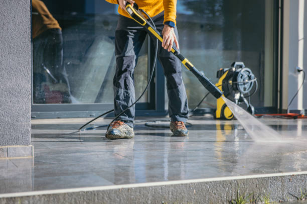 Best Sidewalk and Walkway Cleaning  in Meraux, LA